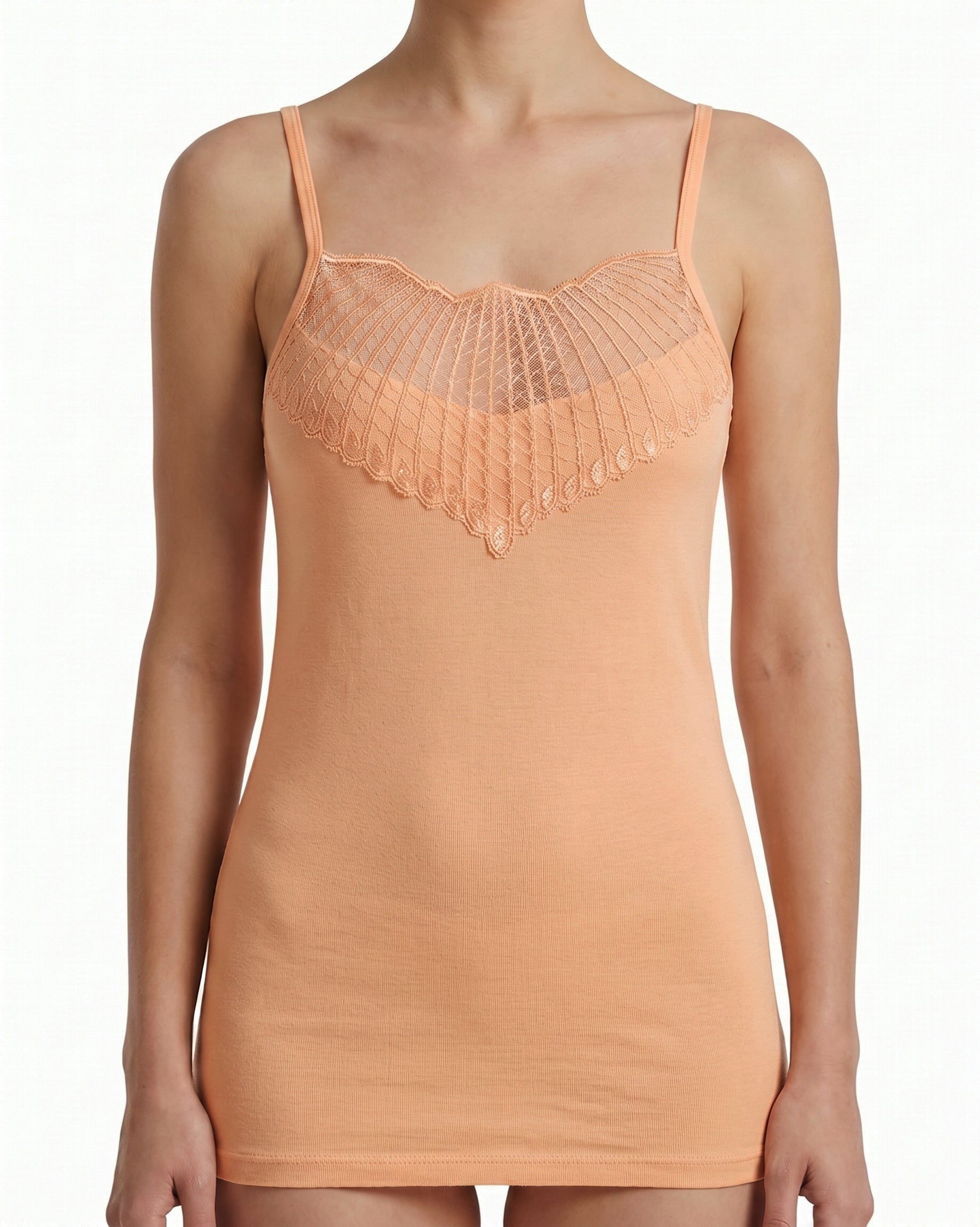 Apricot