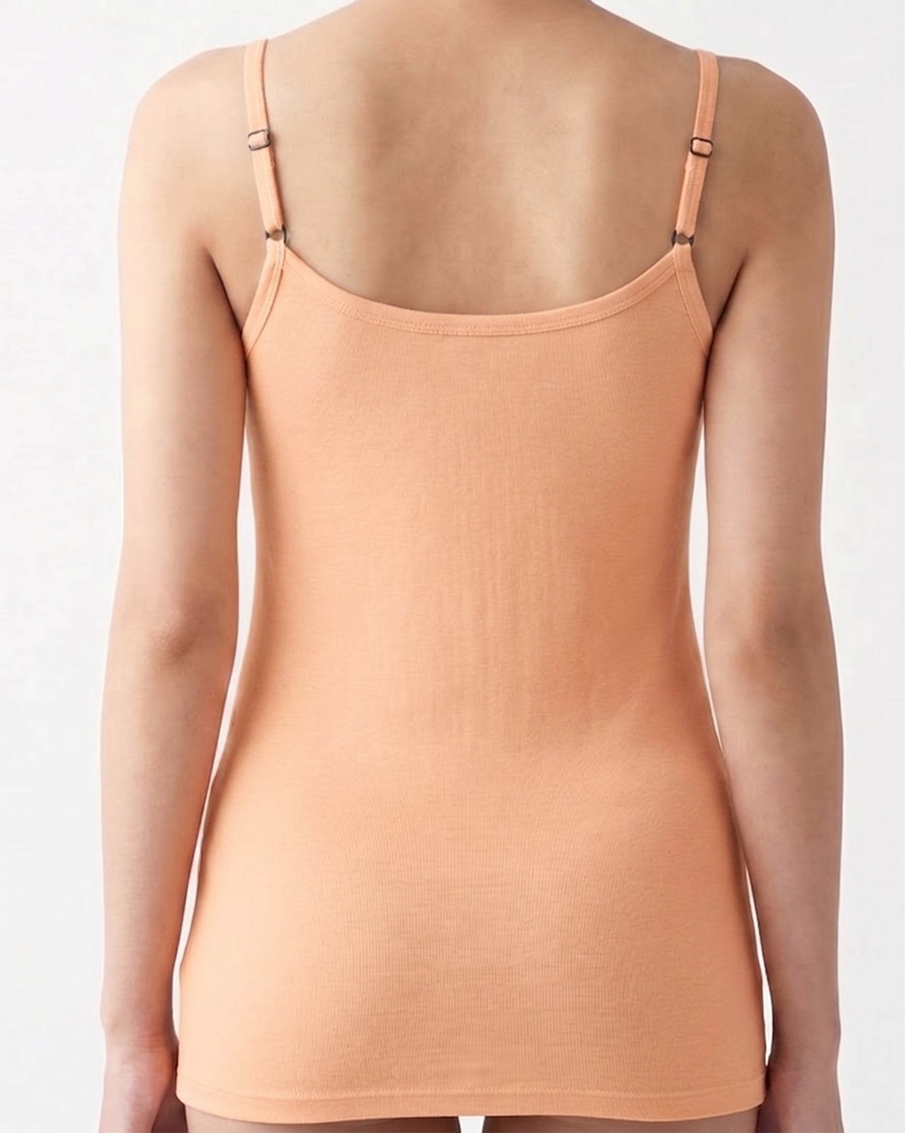 Apricot