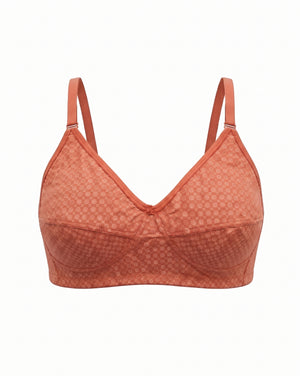 Terracotta 