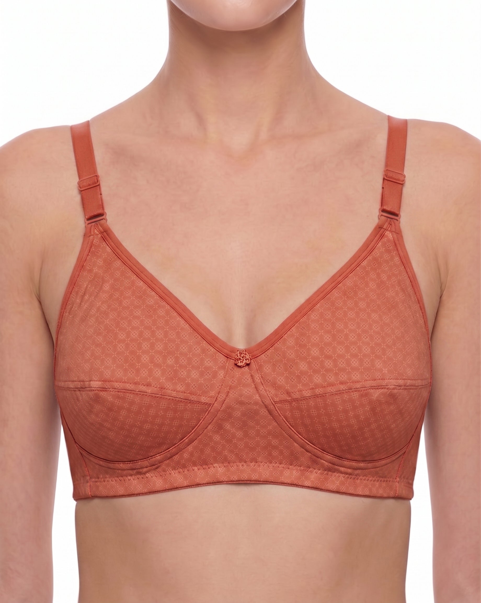 Terracotta 
